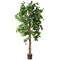 Artificial Trees for Home Decor Indoor - Fake Plants & Faux Plants Indoor - Fake Plants Tall Ficus Tree Artificial, Plants for Living Room Decor, Tall Fake Plants Indoor, Fake Tree Indoor - 6 Feet